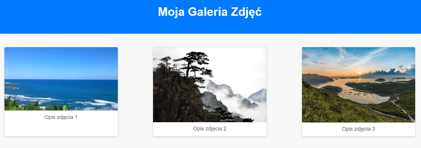 galeria zdjęć